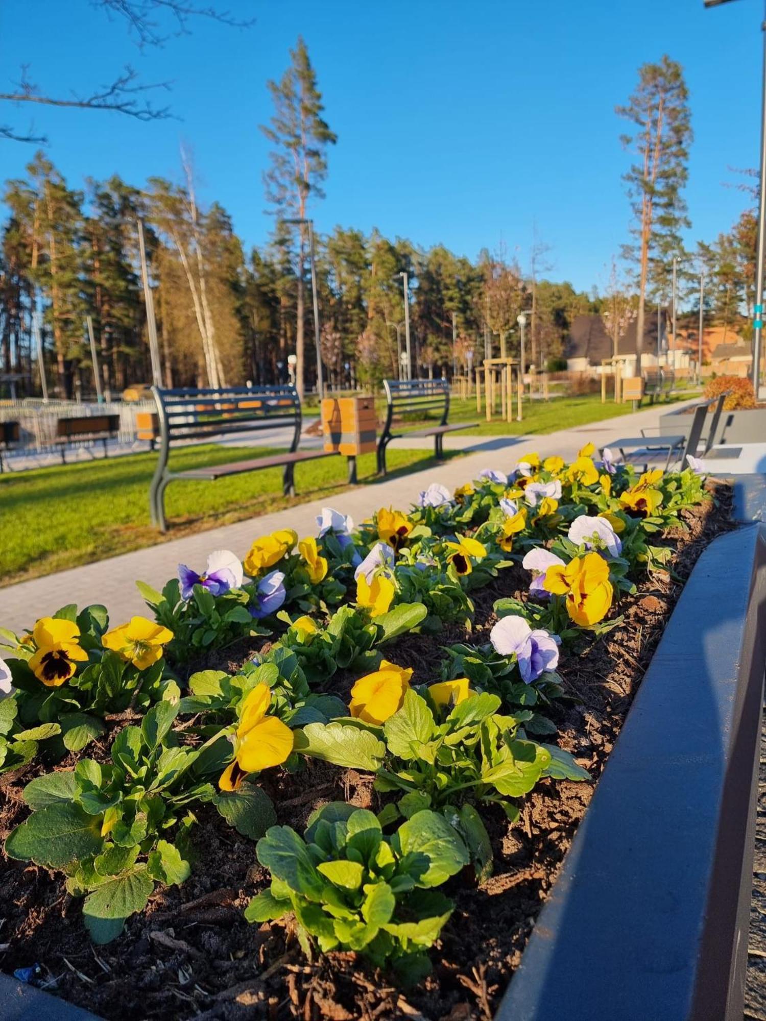 Flip-Flops Apartment Jurmala With Free Parking Zewnętrze zdjęcie